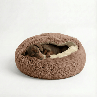 The Dachshund Den™