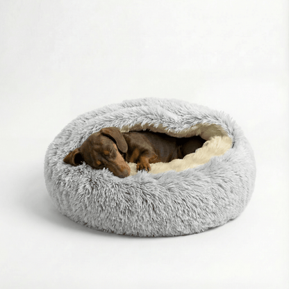 The Dachshund Den™