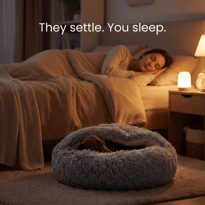 The Dachshund Den™