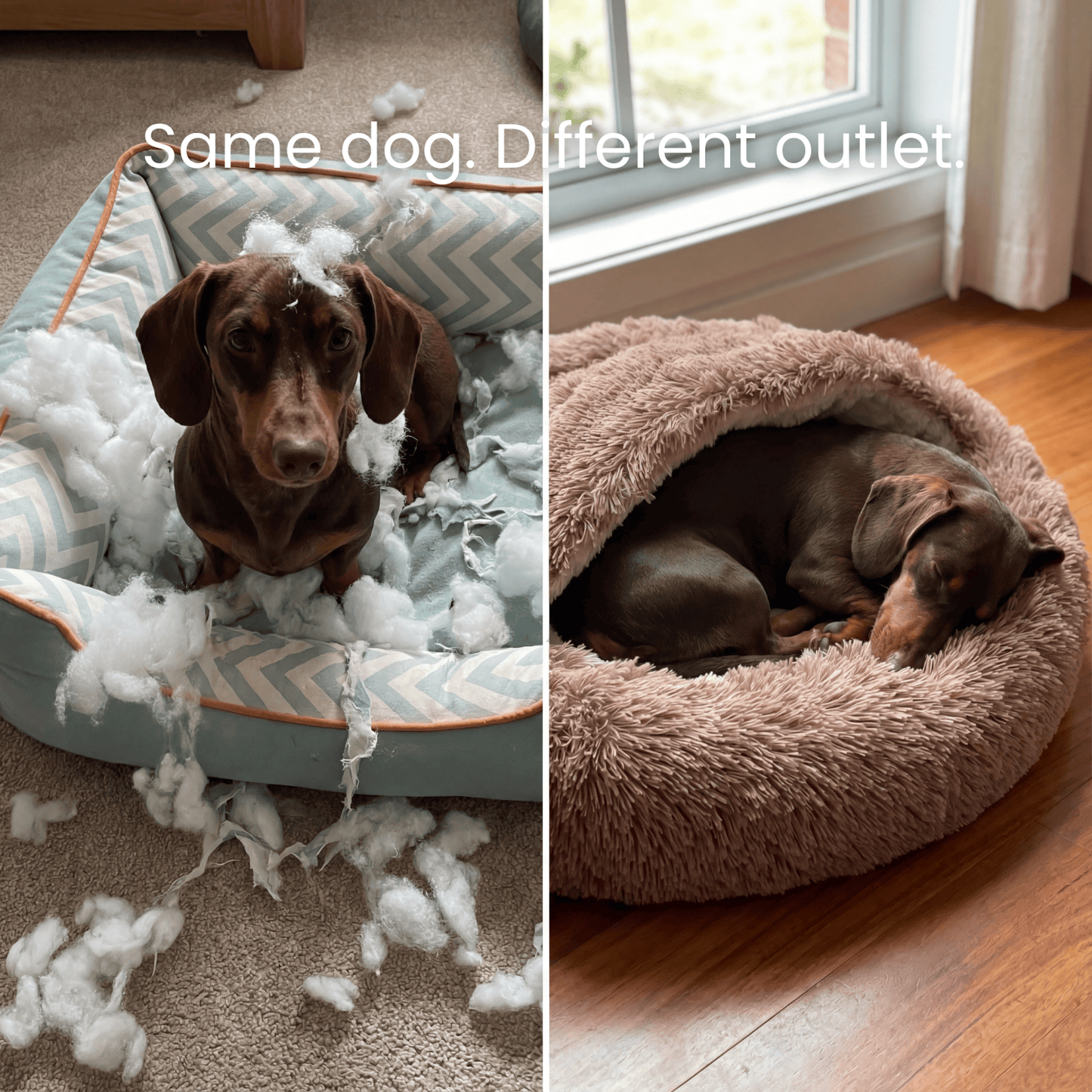 The Dachshund Den™