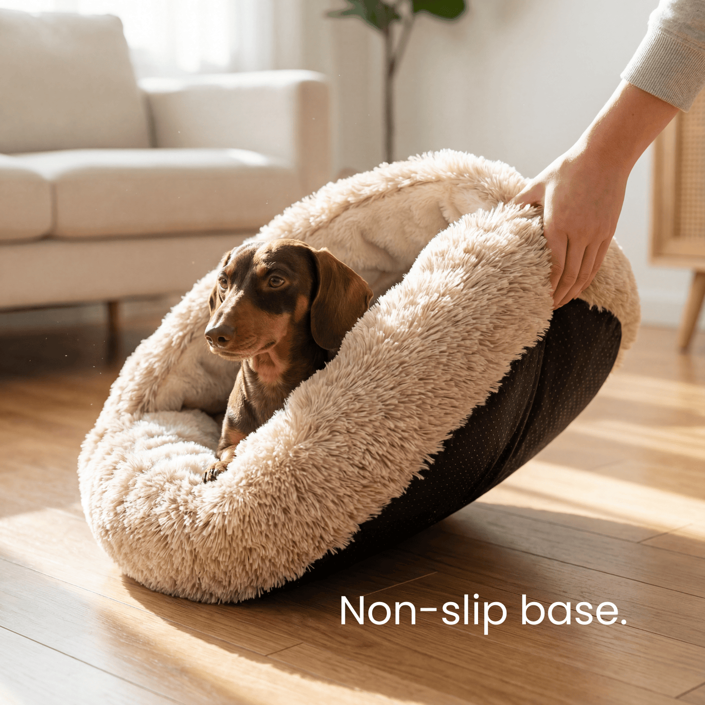 The Dachshund Den™