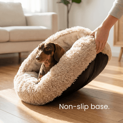 The Dachshund Den™