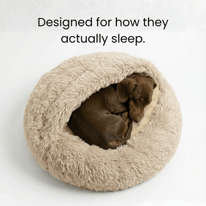 The Dachshund Den™