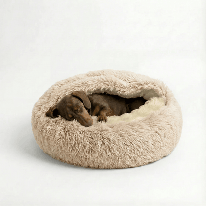 The Dachshund Den™