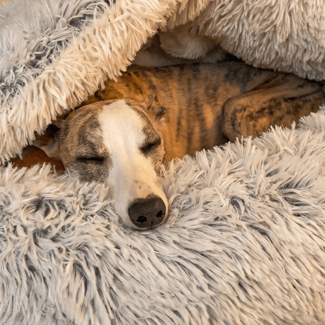 NapFriends Cavebed – Het Originele Kalmerende Holbed